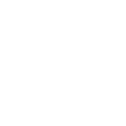 Lightning-Fast Checkout